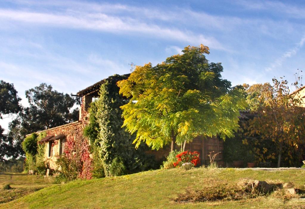 Casa Rural El Cabezo 圣马尔廷德特雷韦霍 外观 照片