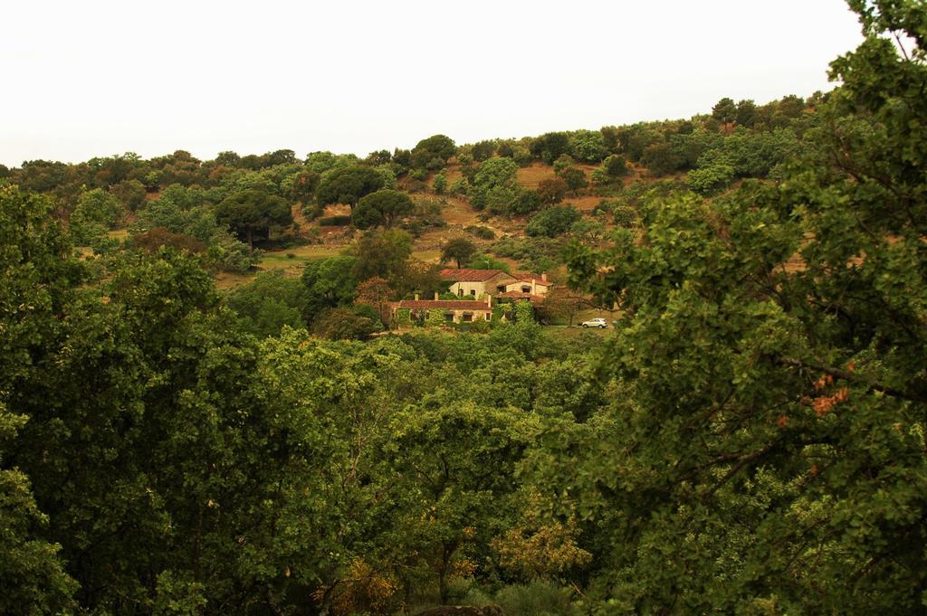 Casa Rural El Cabezo 圣马尔廷德特雷韦霍 外观 照片