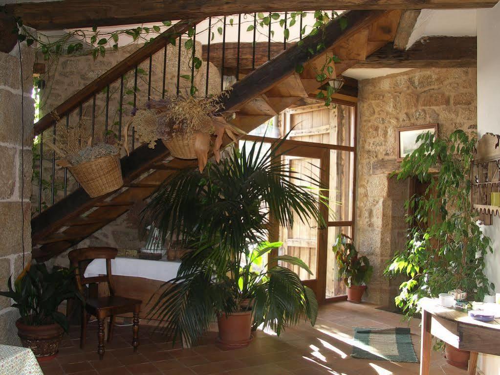 Casa Rural El Cabezo 圣马尔廷德特雷韦霍 外观 照片